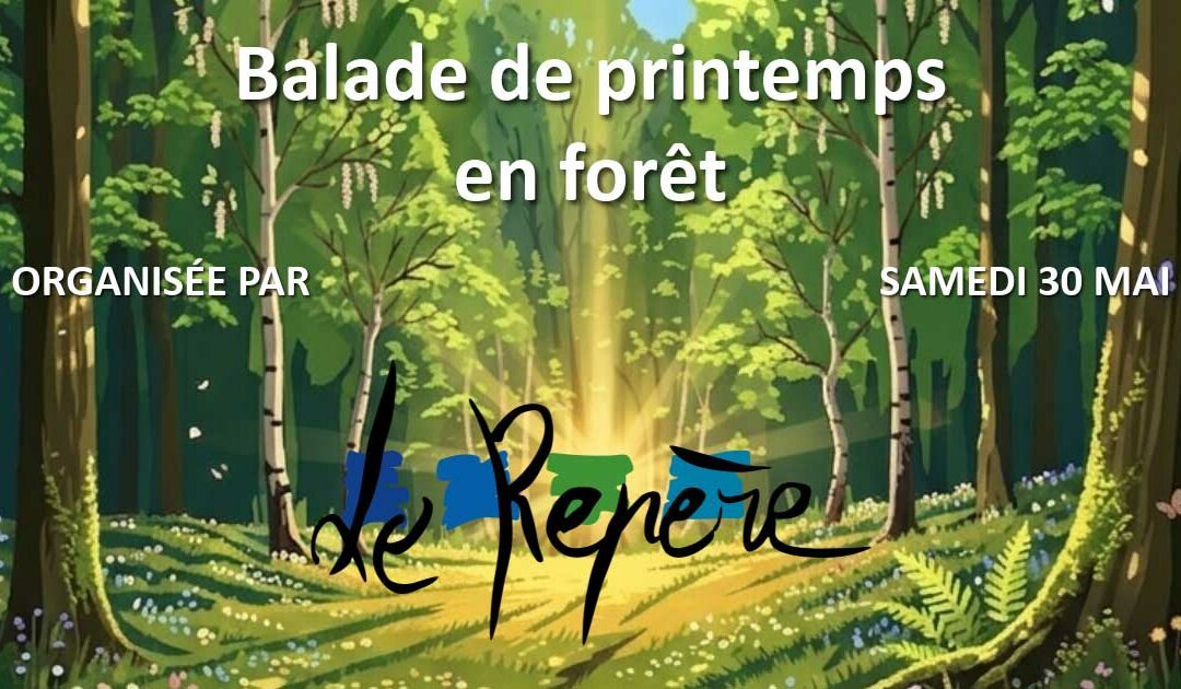 Balade de printemps en forêt