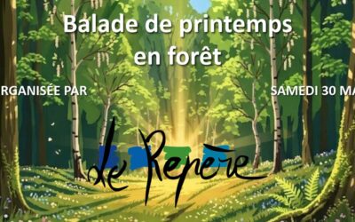 Balade de printemps en forêt